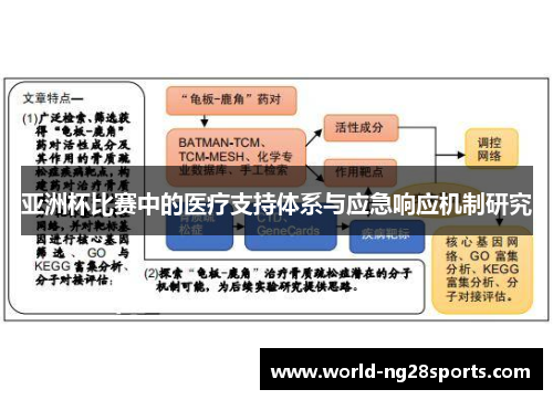 亚洲杯比赛中的医疗支持体系与应急响应机制研究