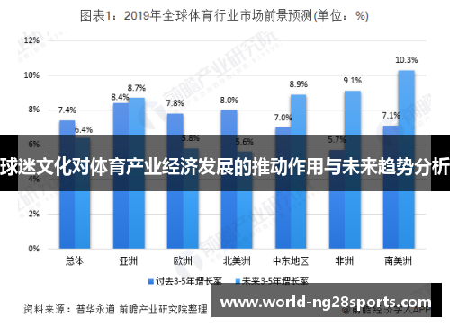 球迷文化对体育产业经济发展的推动作用与未来趋势分析