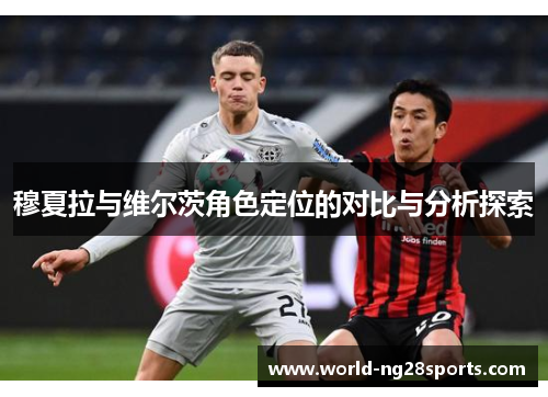 穆夏拉与维尔茨角色定位的对比与分析探索