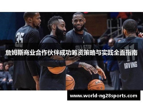 詹姆斯商业合作伙伴成功筹资策略与实践全面指南 詹姆斯商业合作伙伴成功筹资策略与实践全面指南