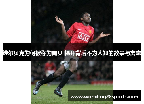 维尔贝克为何被称为黑贝 揭开背后不为人知的故事与寓意 维尔贝克为何被称为黑贝 揭开背后不为人知的故事与寓意