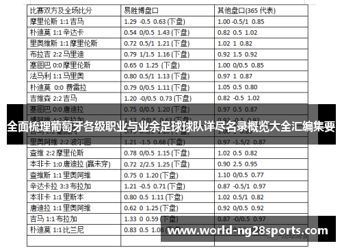 全面梳理葡萄牙各级职业与业余足球球队详尽名录概览大全汇编集要 全面梳理葡萄牙各级职业与业余足球球队详尽名录概览大全汇编集要