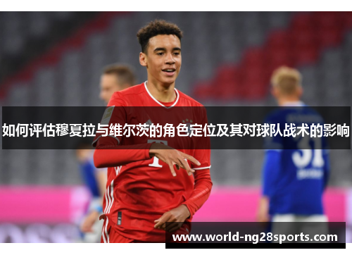 如何评估穆夏拉与维尔茨的角色定位及其对球队战术的影响
