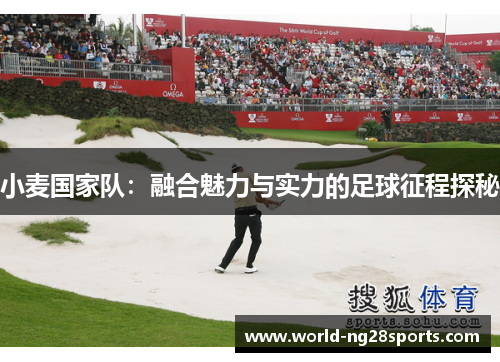 小麦国家队:融合魅力与实力的足球征程探秘 小麦国家队:融合魅力与实力的足球征程探秘